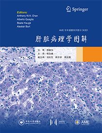 肝脏病理学图解