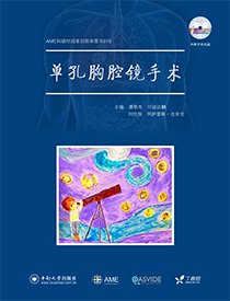 单孔胸腔镜手术