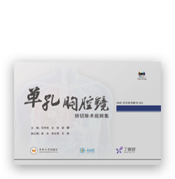 单孔胸腔镜肺切除术视频集